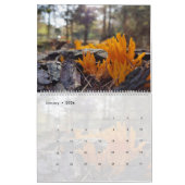 CALENDRIER PHOTOGRAPHIES DES CHAMBRES DE PIENPANO (Jan 2026)