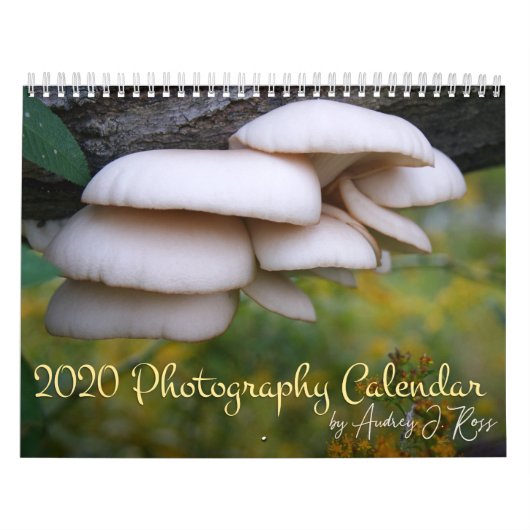 Calendrier photographique 2020 (Protection)