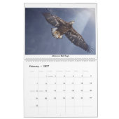 Calendrier photographique 2020 (Feb 2027)