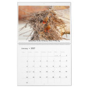 Calendrier photographique 2020 (Jan 2027)