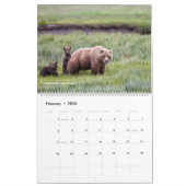 Calendrier photographique Belinda Greb (Feb 2026)