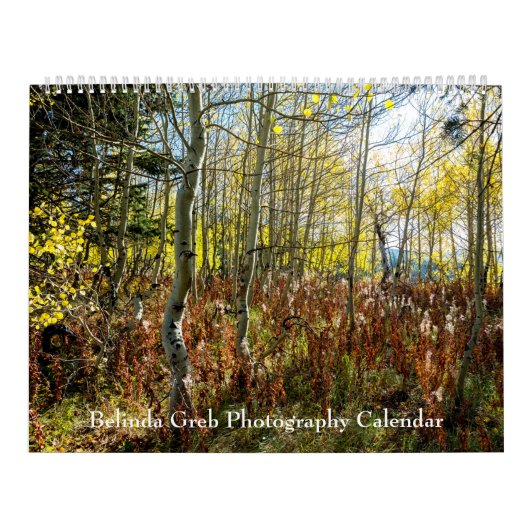 Calendrier photographique Belinda Greb (Protection)