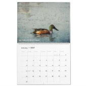 Calendrier photographique Belinda Greb (Jan 2027)