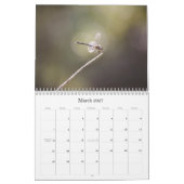 Calendrier photographique des libellules (Mar 2027)