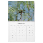 Calendrier photographique des libellules (Feb 2027)
