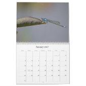Calendrier photographique des libellules (Jan 2027)