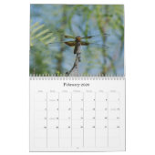 Calendrier photographique des libellules (Feb 2026)