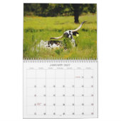 Calendrier photographique des vaches texanes (Jan 2027)