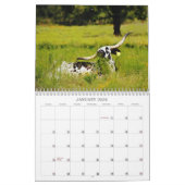 Calendrier photographique des vaches texanes (Jan 2026)