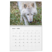 Calendrier photographique Wolf (Mar 2026)