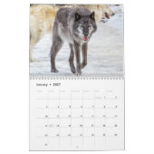 Calendrier photographique Wolf (Jan 2027)