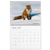 Calendrier Photos Classy Arctic Wildlife Alaska (Feb 2027)
