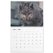Calendrier Photos Classy Arctic Wildlife Alaska (Mar 2026)
