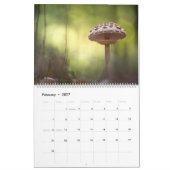 Calendrier Photos de champignons dans la nature 2027 (Feb 2027)