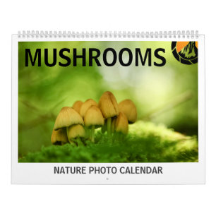 Calendrier Photos de champignons dans la nature 2027