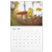 Calendrier Photos de champignons dans la nature 2027 (Mar 2027)