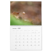 Calendrier Photos de champignons dans la nature 2027 (Jan 2027)