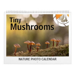 Calendrier Photos de champignons dans la nature 2027