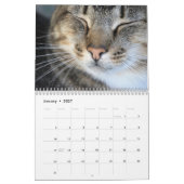 Calendrier Photos de chatons et chats mignons (Jan 2027)
