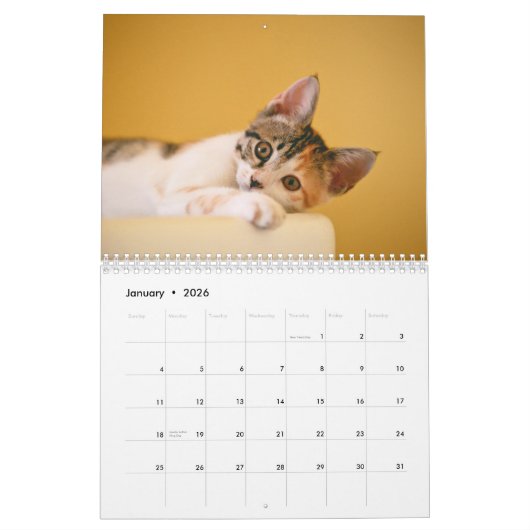 Calendrier Photos de chats chats chats chats chats chats chat (Jan 2026)