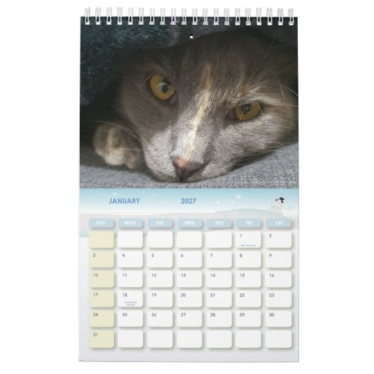 Calendrier photos de chats gris mignons 2025 (Jan 2027)