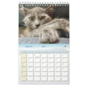 Calendrier photos de chats gris mignons 2025 (Feb 2027)