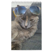 Calendrier photos de chats gris mignons 2025 (Protection)