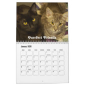 Calendrier Photos de chats mignonnes avec des paroles amusant (Jan 2026)