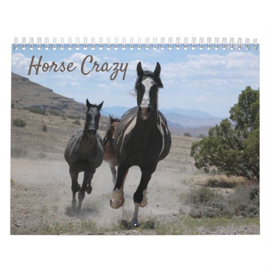 Calendrier Photos de chevaux pour les amateurs de chevaux (Protection)