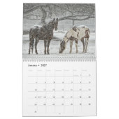 Calendrier Photos de chevaux pour les amateurs de chevaux (Jan 2027)