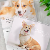 Calendrier Photos de Chiens de Corgi Funny mignons