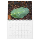 Calendrier Photos de la nature (Mar 2026)
