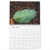 Calendrier Photos de la nature (Mar 2027)