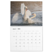 Calendrier Photos de la nature des cygnes 2026 (Mar 2026)