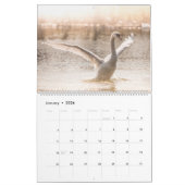 Calendrier Photos de la nature des cygnes 2026 (Jan 2026)
