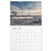 Calendrier Photos de Namibie et du Botswana (Feb 2026)