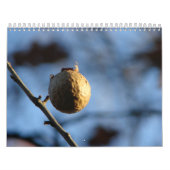 Calendrier Photos de nature (Protection)