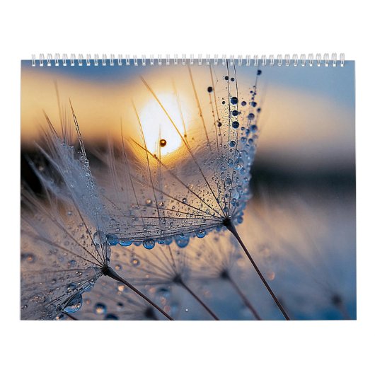 Calendrier Photos de nature macro (Protection)