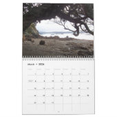 Calendrier Photos de Nouvelle-Zélande (Mar 2026)