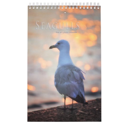 Calendrier Photos de Seaguls et de Beach Bird Paysage (Protection)