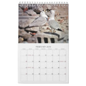 Calendrier Photos de Seaguls et de Beach Bird Paysage (Feb 2026)