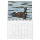 Calendrier - Photos des oiseaux d'Amérique du Nord (Jan 2026)