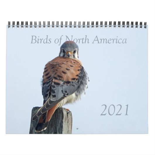Calendrier - Photos des oiseaux d'Amérique du Nord (Protection)