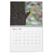 Calendrier - Photos des oiseaux d'Amérique du Nord (Feb 2026)