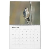 Calendrier - Photos d'oiseaux d'Amérique du Nord (Mar 2026)