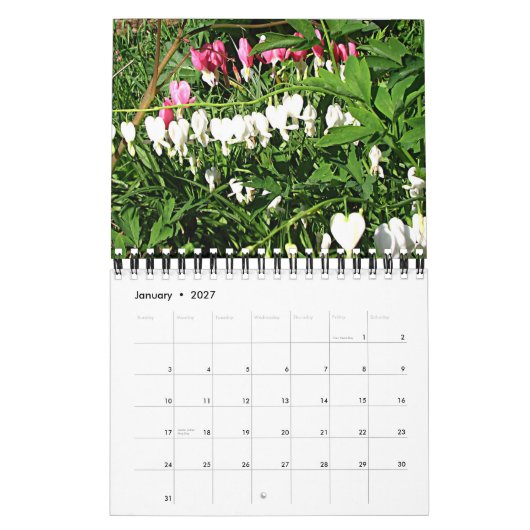 Calendrier Photos du jardin 2008 (Jan 2027)