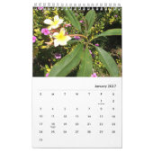 Calendrier photos du jardin du studio d'art de Chloe, Calendr (Jan 2027)