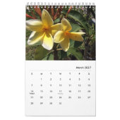 Calendrier photos du jardin du studio d'art de Chloe, Calendr (Mar 2027)
