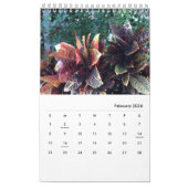 Calendrier photos du jardin du studio d'art de Chloe, Calendr (Feb 2026)