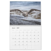 Calendrier Photos Faune Oiseaux 2027 (Mar 2027)